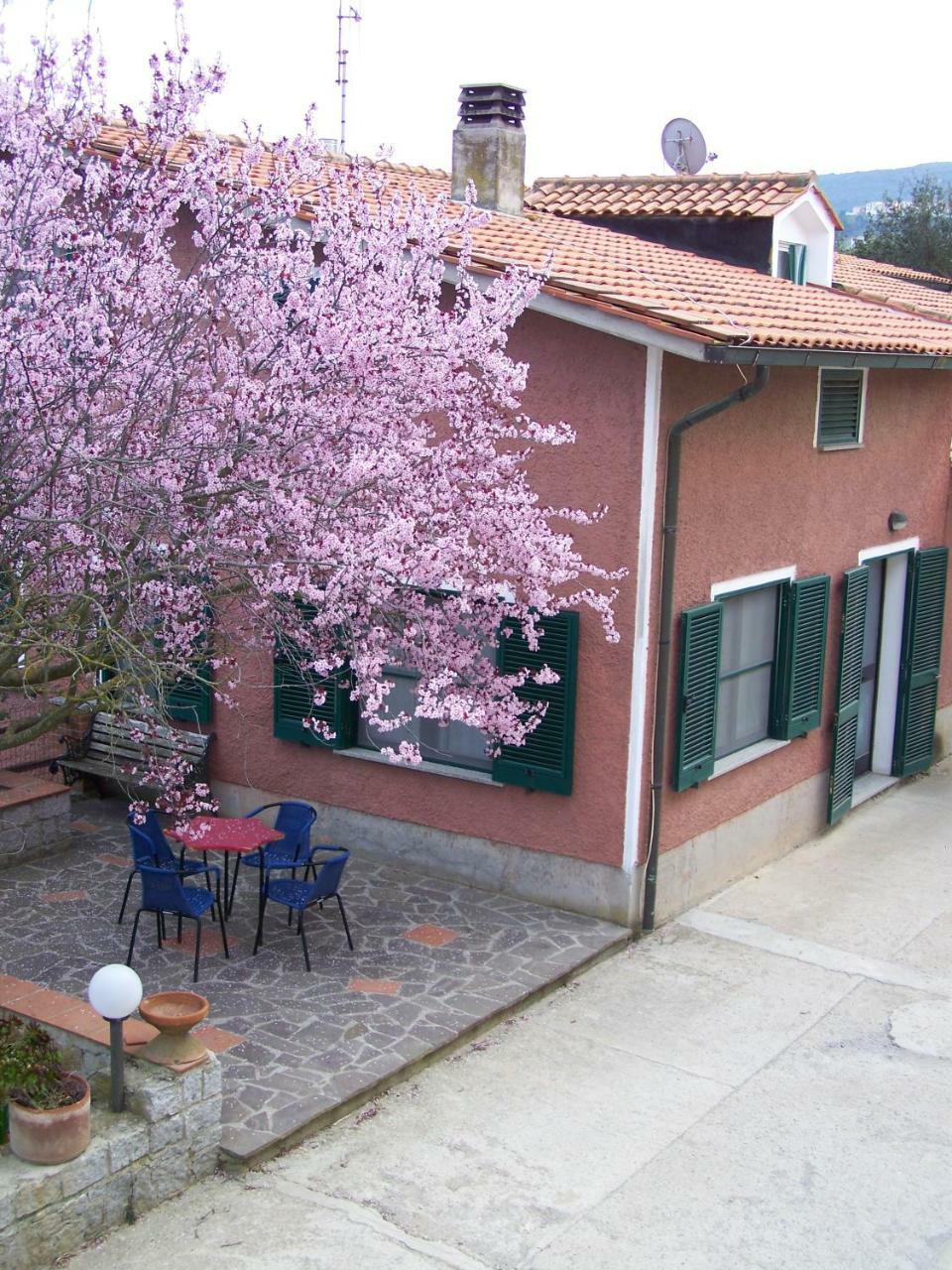 Appartamenti Gli Alberi กาโปลิเวรี ภายนอก รูปภาพ